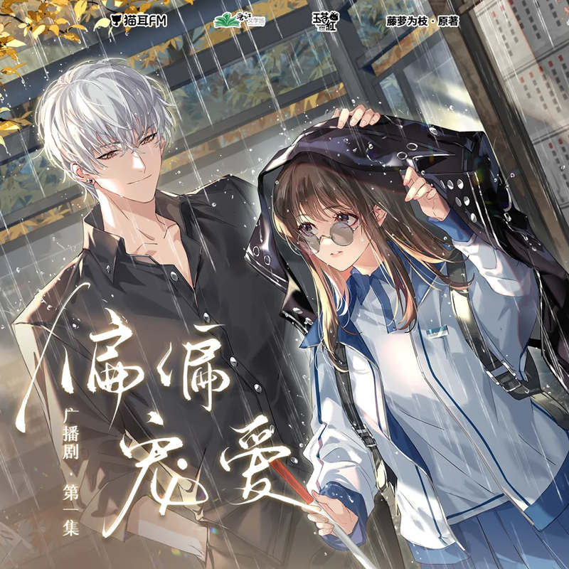 广播剧《偏偏宠爱》全集资源免费听（江忍孟听）花间地址