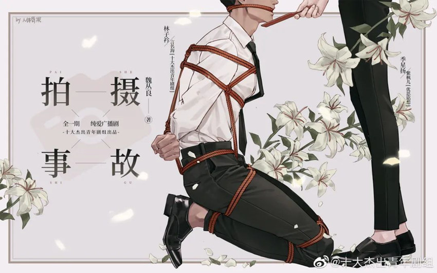 拍摄事故广播剧无删减完整版资源免费收听花间无偿分享(紫枫儿x言名海)