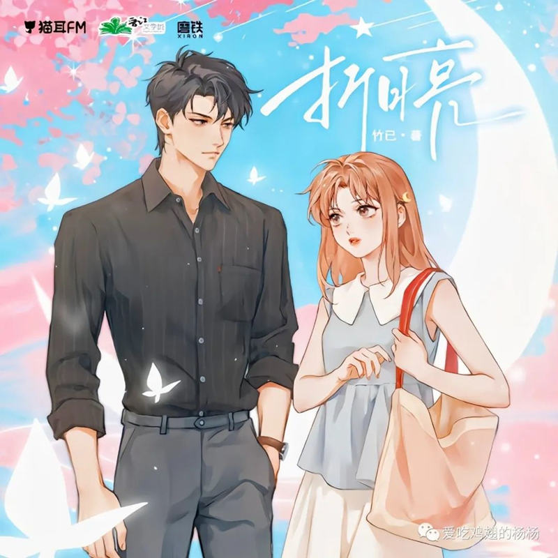 竹已原著《折月亮》广播剧资源全一季完整版花间在线收听