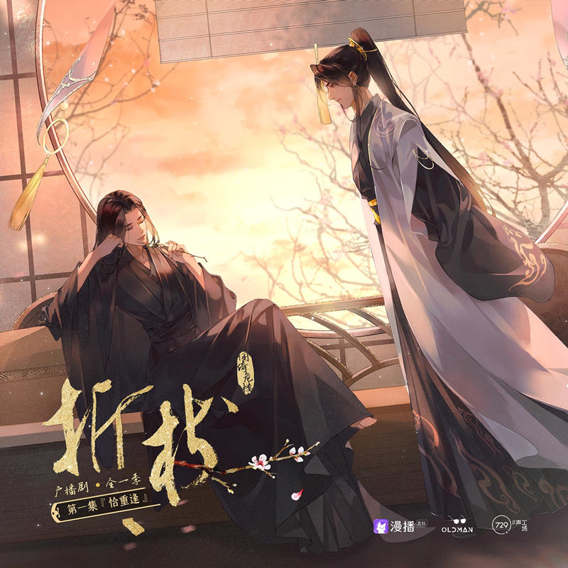 广播剧《折枝》全集完整版（金弦&谷江山）花间资源